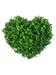 Tải Hình nền tình yêu cho điện thoại 240x320 Tải Hình nền tình yêu cho điện thoại 240x320